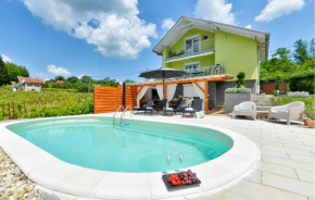 Pet Friendly Home In Popovaca With Kitchen